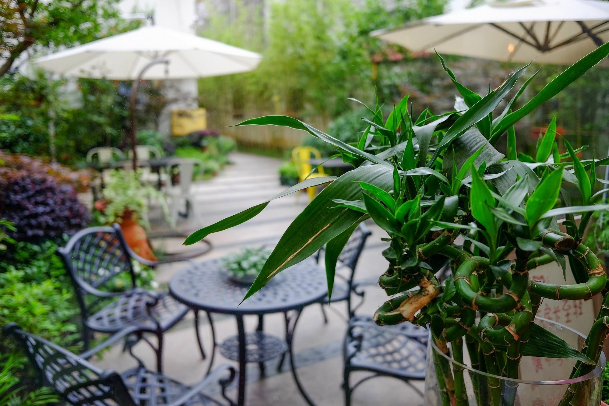 Suzhou Homa Garden Hotel Εξωτερικό φωτογραφία